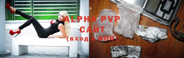 шишки Богородицк