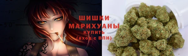 шишки Богородицк