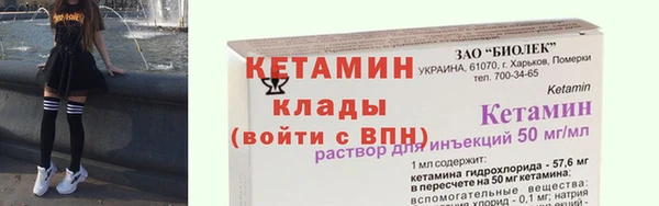 шишки Богородицк