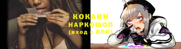 шишки Богородицк