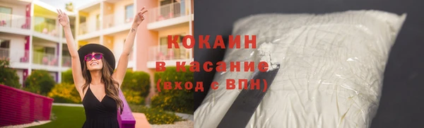 шишки Богородицк