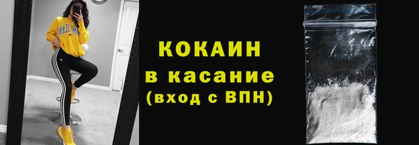 шишки Богородицк