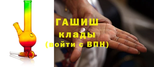 шишки Богородицк