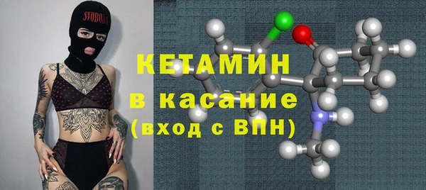 шишки Богородицк