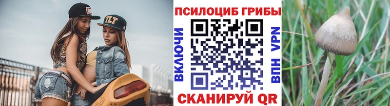 продажа наркотиков  ОМГ ОМГ tor  Галлюциногенные грибы Psilocybe  Клин 